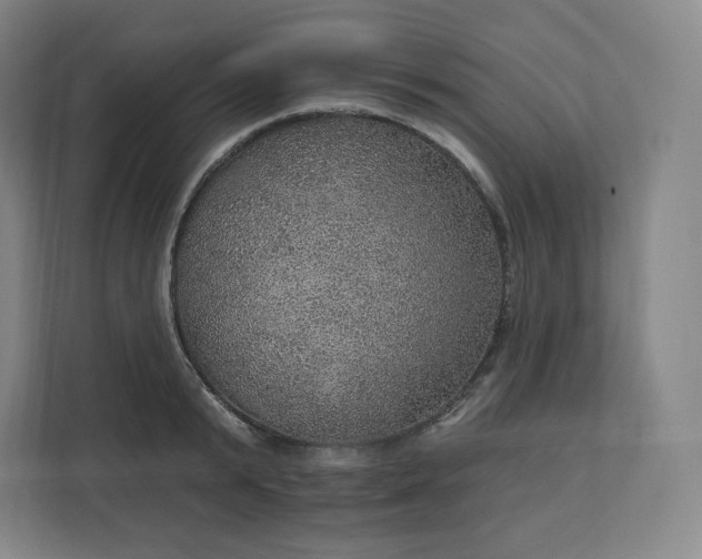 X0000112160799200908211433