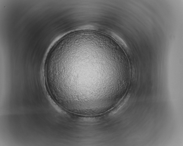 X0000112160800200908211433