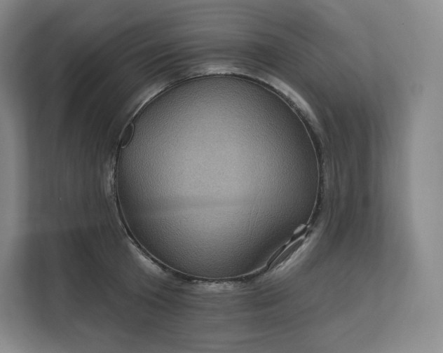 X0000112160801200908211433