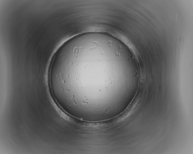 X0000112160803200908211433