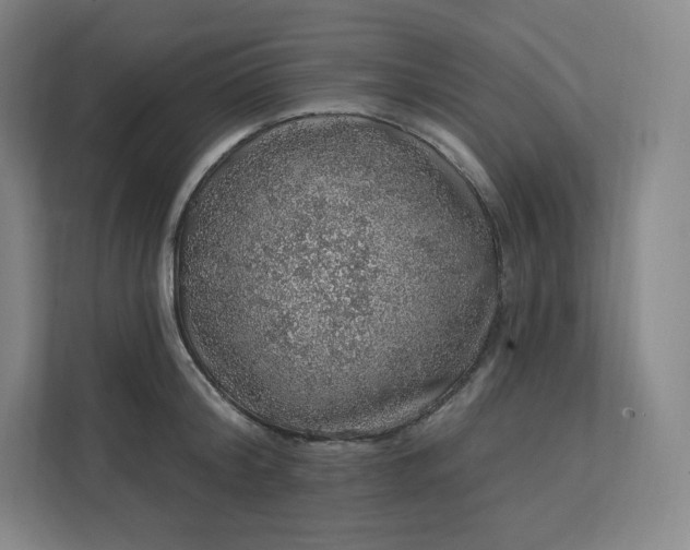 X0000112160804200908211433