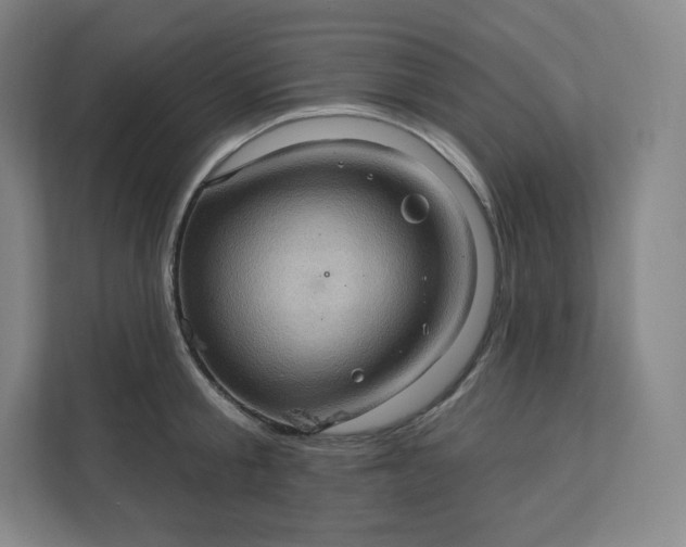 X0000112160805200908211433