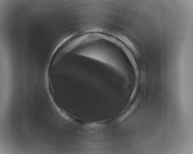 X0000112160806200908211433