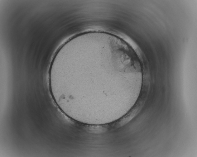 X0000112160807200908211433