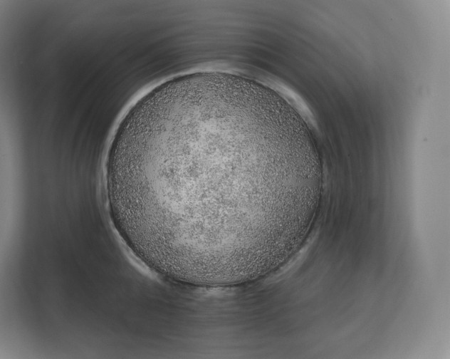 X0000112160808200908211433