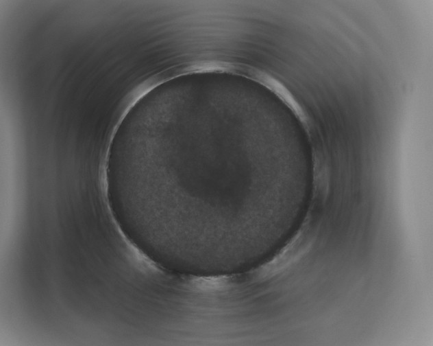 X0000112160810200908211433