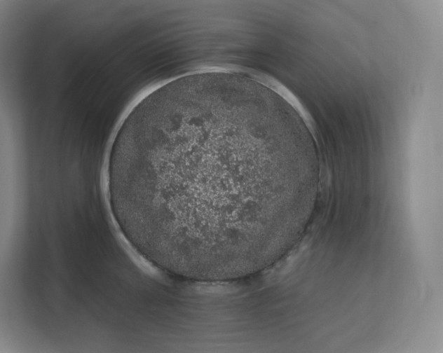 X0000112160811200908211433
