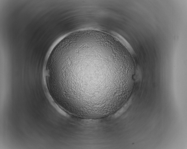 X0000112160812200908211433