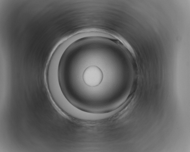 X0000112160813200908211433