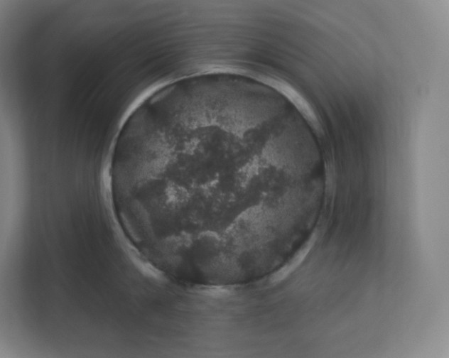 X0000112160814200908211433