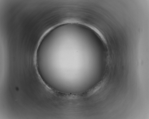 X0000112160815200908211433