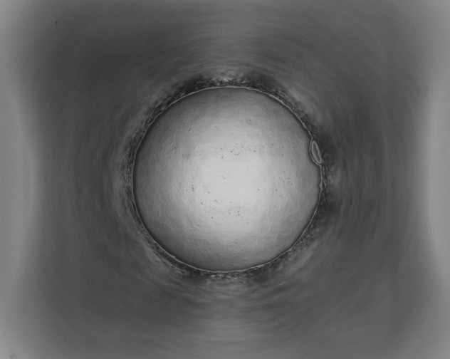 X0000112160817200908211432