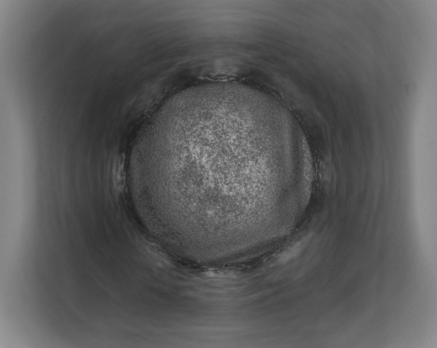 X0000112160818200908211432