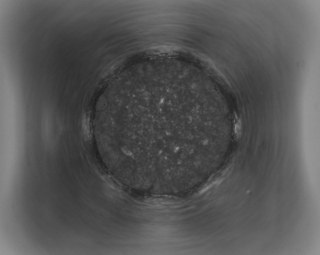 X0000112160819200908211432