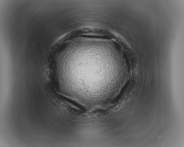 X0000112160822200908211432