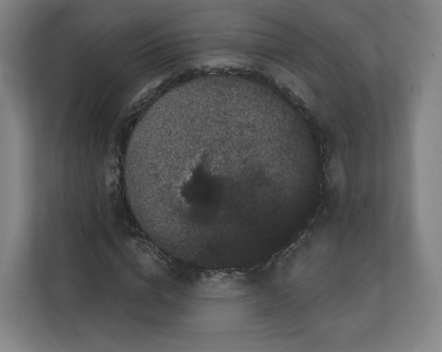 X0000112160824200908211432