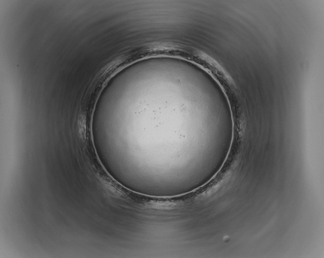 X0000112160825200908211432