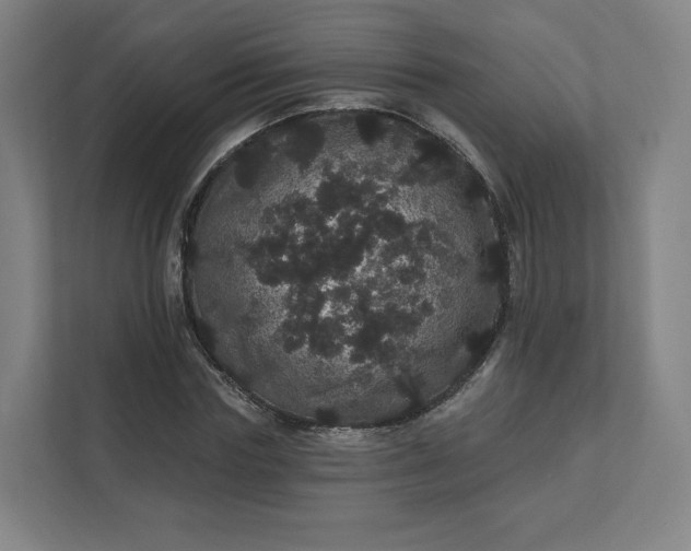X0000112160827200908211432