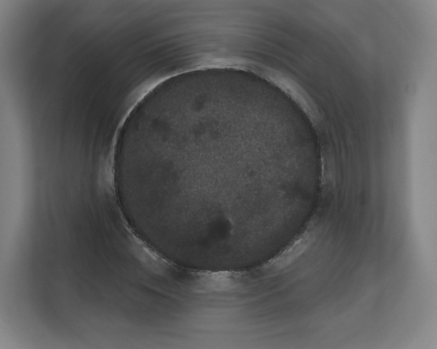 X0000112160828200908211432