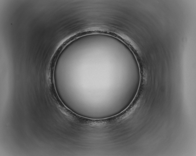 X0000112160830200908211432
