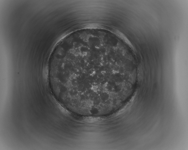 X0000112160831200908211432