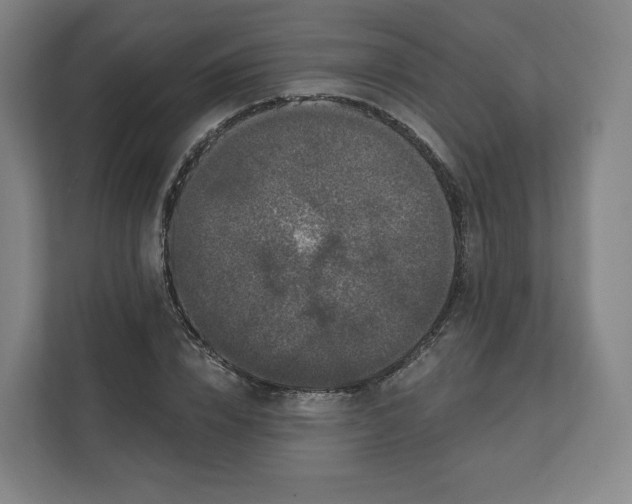 X0000112160832200908211432
