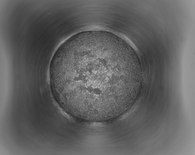 X0000112160839200908211432