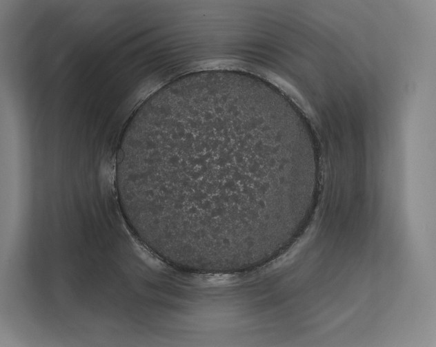 X0000112160841200908211432