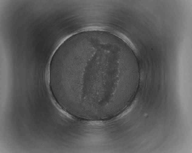 X0000112160844200908211433