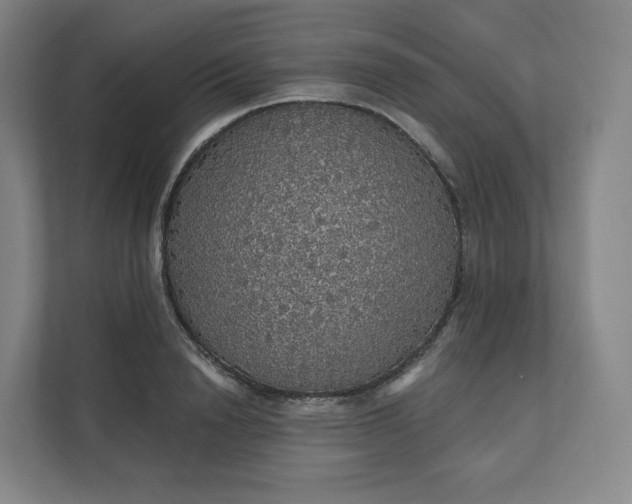 X0000112160846200908211433