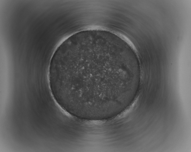 X0000112160847200908211433