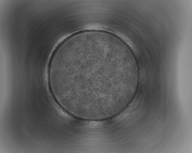 X0000112160848200908211433