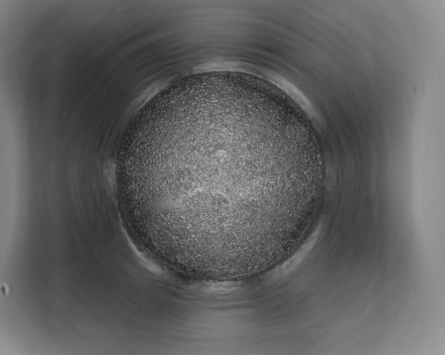 X0000112160849200908211433