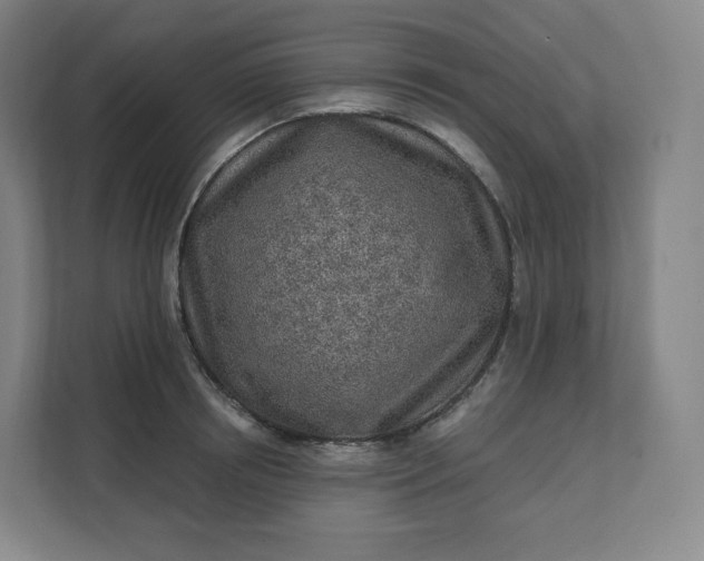 X0000112160850200908211433
