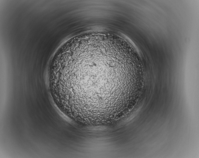 X0000112160851200908211433