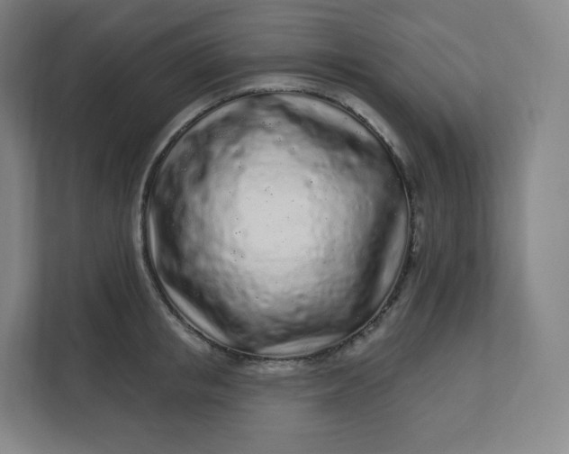 X0000112160853200908211433