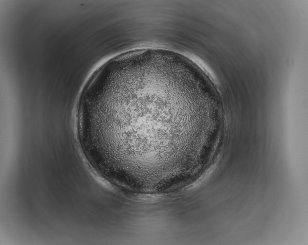X0000112160854200908211433