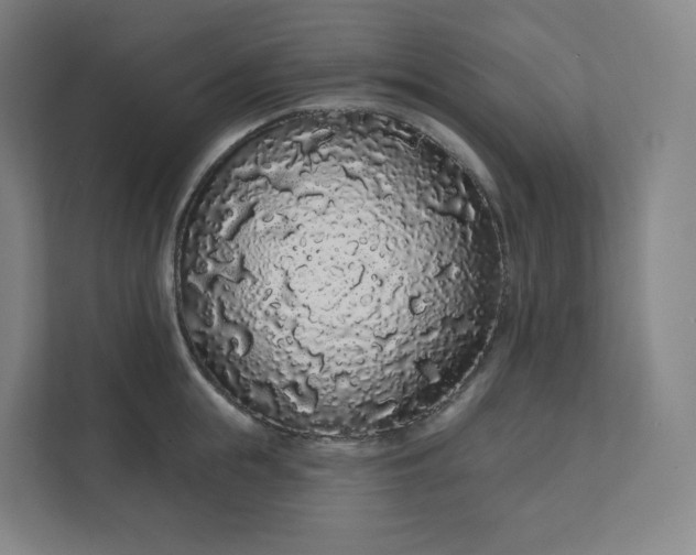 X0000112160855200908211433