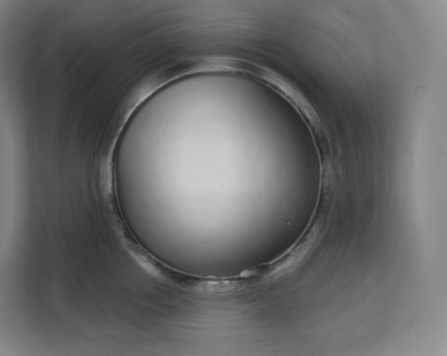 X0000112160858200908211433