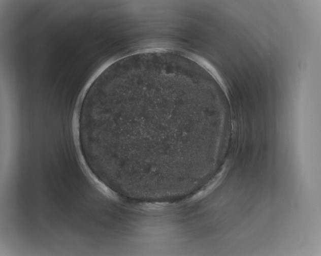 X0000112160859200908211433