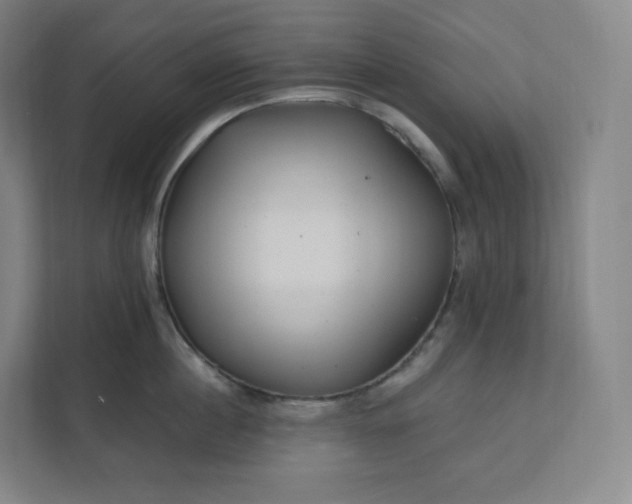 X0000112160860200908211433