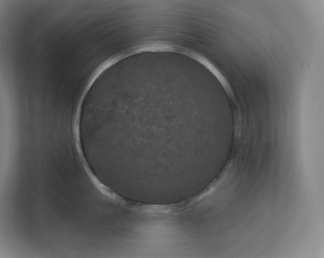 X0000112160861200908211433