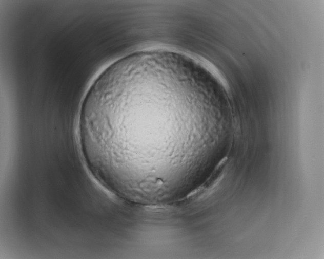 X0000112160863200908211433