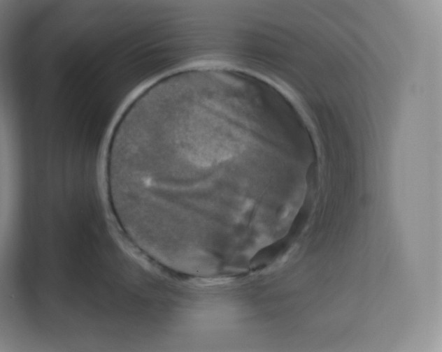 X0000112160864200908211433