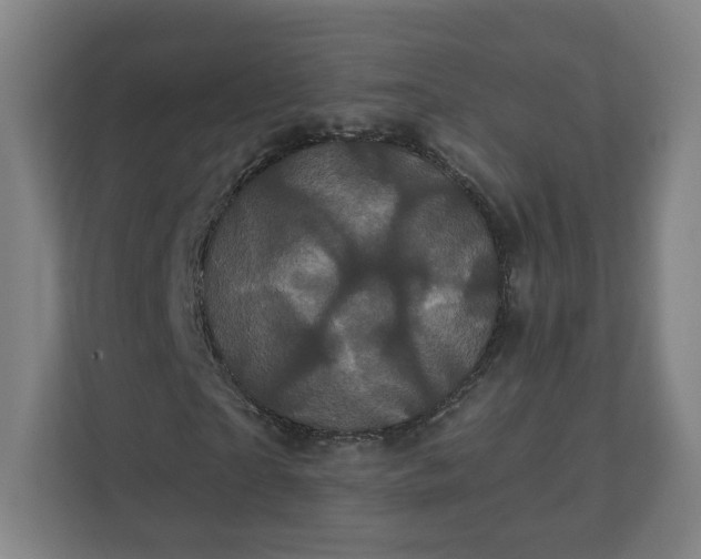 X0000112160865200908211432