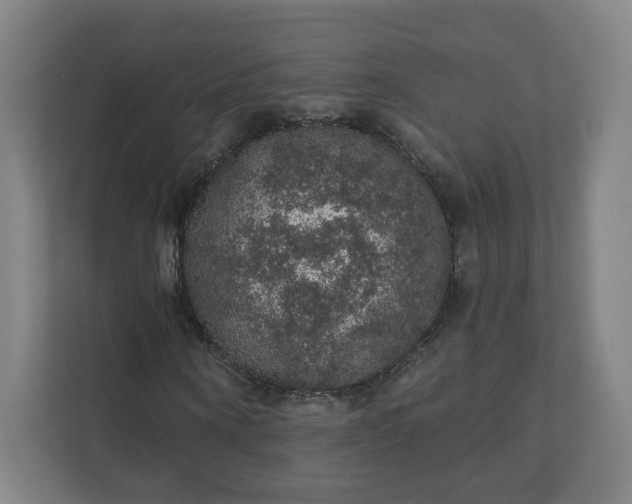 X0000112160866200908211432
