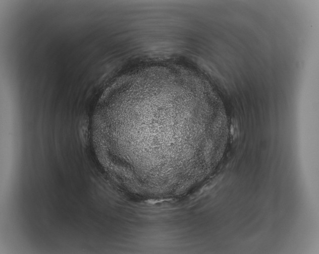 X0000112160867200908211432