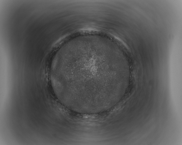 X0000112160870200908211432