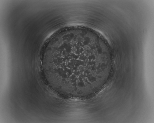 X0000112160871200908211432