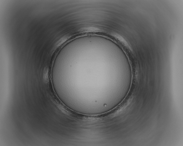 X0000112160873200908211432